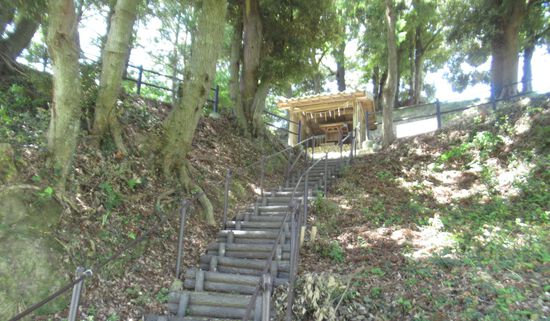新野左馬之助（新野親矩）