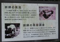 銅鐸公園とシラタマホシクサ