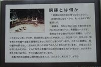 銅鐸公園とシラタマホシクサ