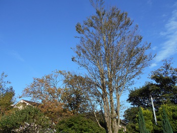 空