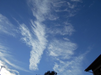空