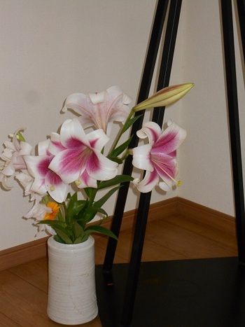百合の花