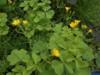 朝の祈り 2022/05/23 11:10:47