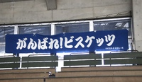 今週のビスケッツ(12/9・10) 2023/12/05 20:49:25