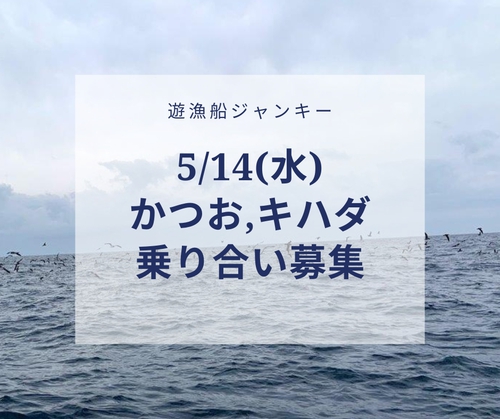 かつお、キハダ便 募集中！