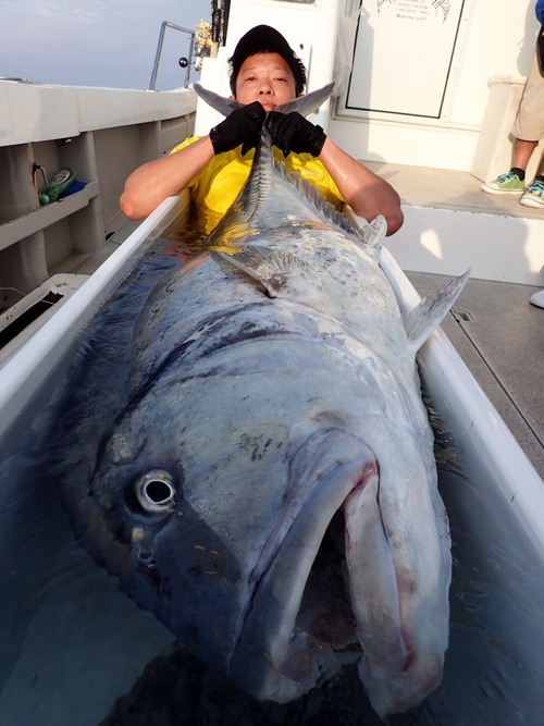 奄美大島 ビッグディッパー GT釣行
