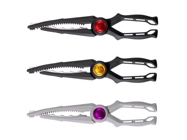 9/13　入荷情報！