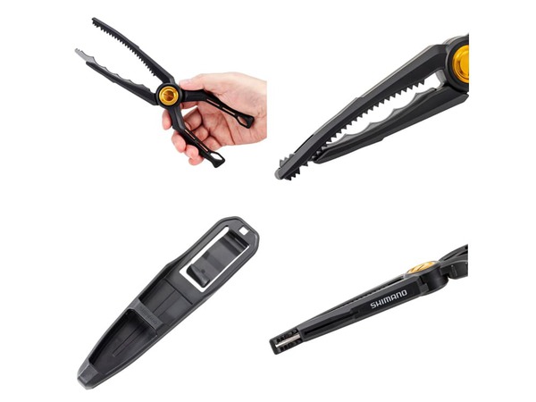 9/13　入荷情報！