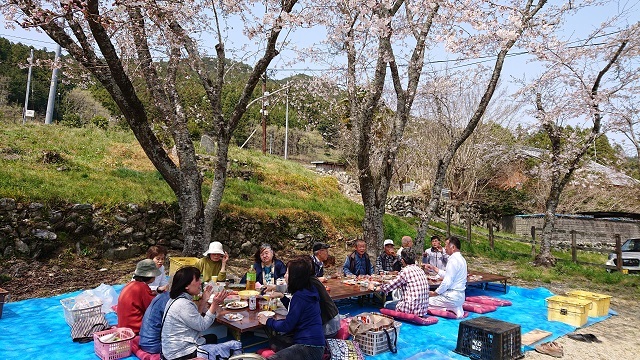 4月7日の記事　お花見