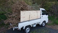 4月9日の記事 2019/04/10 01:39:55