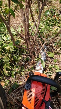 4月21日の記事 2019/04/21 22:37:37