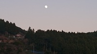 久しぶりのお月さん 2020/01/09 22:47:16