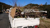 植木屋さんやってきました 2020/02/09 16:38:05