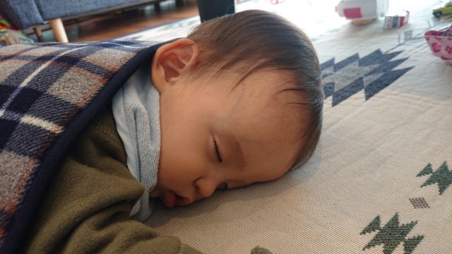 3月21日の記事