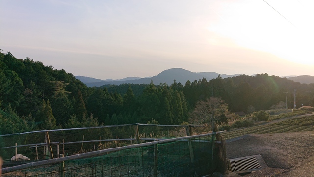 3月26日の記事