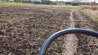 田んぼ起こしてきましった 2020/04/11 20:38:33
