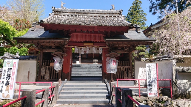 桜も終わりに