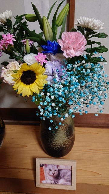 花束が届きました