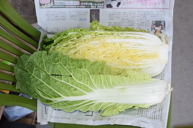 森林公園