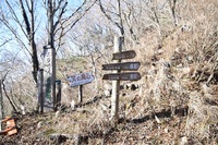 初冬の竜頭山