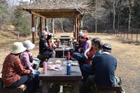 森林公園ウォーキング