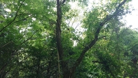 9月4日の記事 2019/09/04 18:53:44