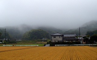 今日の天気