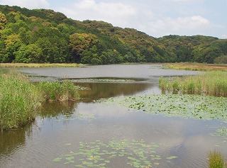 鶴ヶ池