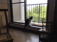 夏 2017/08/06 11:25:42