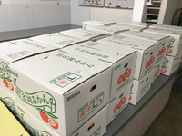 みかん入荷しました 2017/12/19 21:40:18