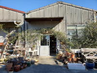 和の骨董から西洋アンティークまで圧巻の品揃え。秀産業はユニークな骨董屋さんです。