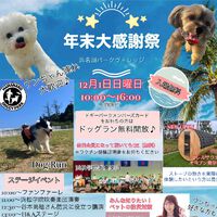 12/1(日)は、【浜名湖パークヴィレッジ年末大感謝祭】に出店します。