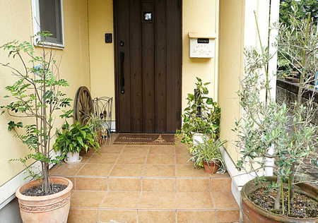 玄関　オリーブの木　トネリコの木　観葉植物