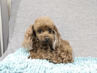 クララちゃん 2025/05/01 23:00:00
