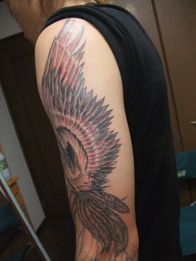 鳳凰!