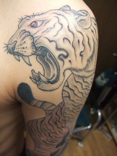 虎!
