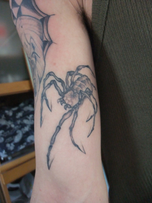 twoフェイス、スパイダーネット、蜘蛛！