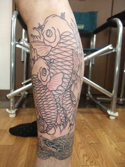 夫婦鯉!
