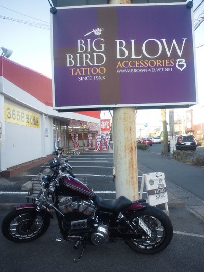 BIG BIRD TATTOO STUDIO