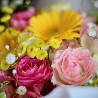 まだ、4月
お誕生日のお花い… 2021/04/22 16:11:21