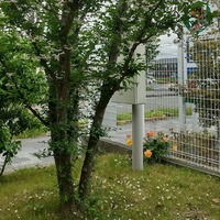 雨☔の香爐ガーデン
　
エ… 2021/05/07 15:48:53