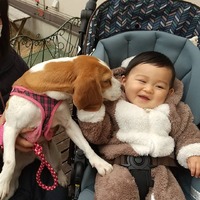 壮哉君
です

キッズ… 2021/02/13 13:24:26