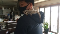 とっても珍しいガーデンのお客さ… 2021/04/18 17:32:25