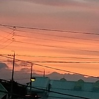 7月15日

美しき

… 2020/07/15 19:31:50