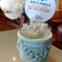 珈琲香爐にて
配布、販売して… 2021/03/10 14:37:40