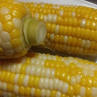 珈琲香爐のおすそ分け

… 2020/09/09 06:59:42