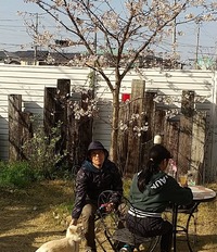 桜の木の下で

ポメラニ… 2021/03/26 20:29:18