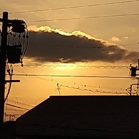 金曜日
珈琲香爐
定休日で… 2021/06/18 08:28:00