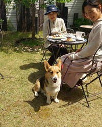 連休中の香爐ガーデン

入… 2021/05/05 10:43:50
