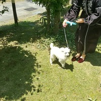 梅雨の晴れ間

香爐ガー… 2021/05/23 15:03:15